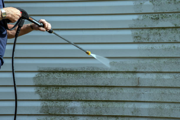Best Roof Pressure Washing  in Tillson, NY